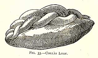 Frederick Vine illustration for "Colla"