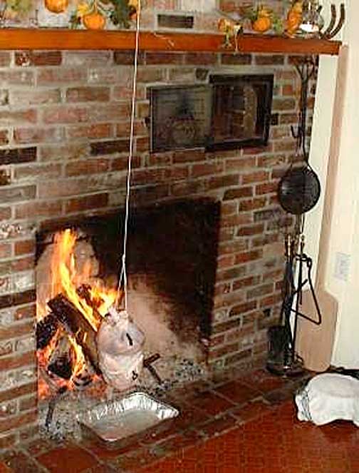 String Roasted Turkey