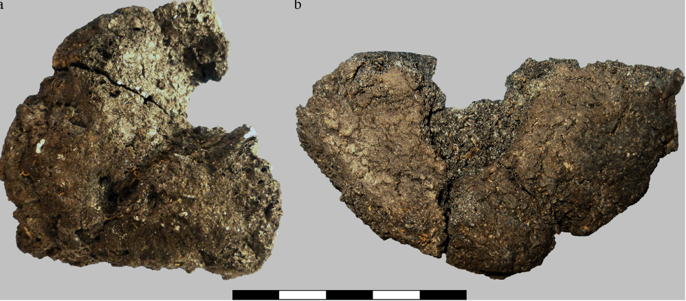 Two Neolithic breads Parkhaus Opera, Zurich circa 3200-3000 ice